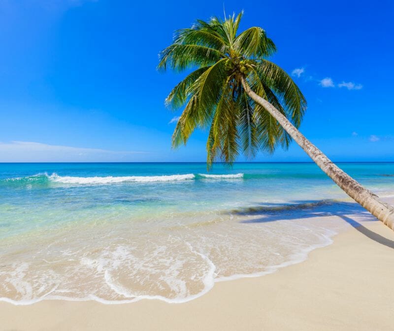 Arvia to be Named in Barbados Ceremony - Bolsover Cruise Club